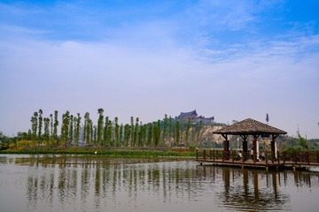 _DSC5238