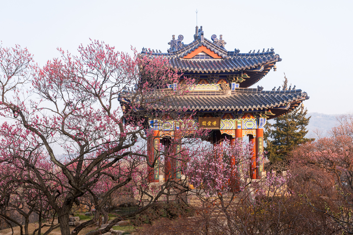 梅花山博爱阁 - 航程新起点 - 图虫