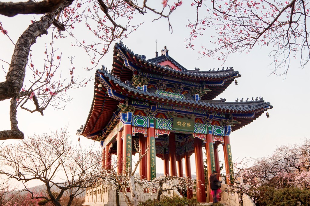 这个角度，好象没见有人拍过．找了好久，终于发现这样拍，能最大�程度地看到四周的梅花，与博爱阁相映成趣。这时，也是梅花开得最盛的时候，梅枝伸展，博爱相拥。