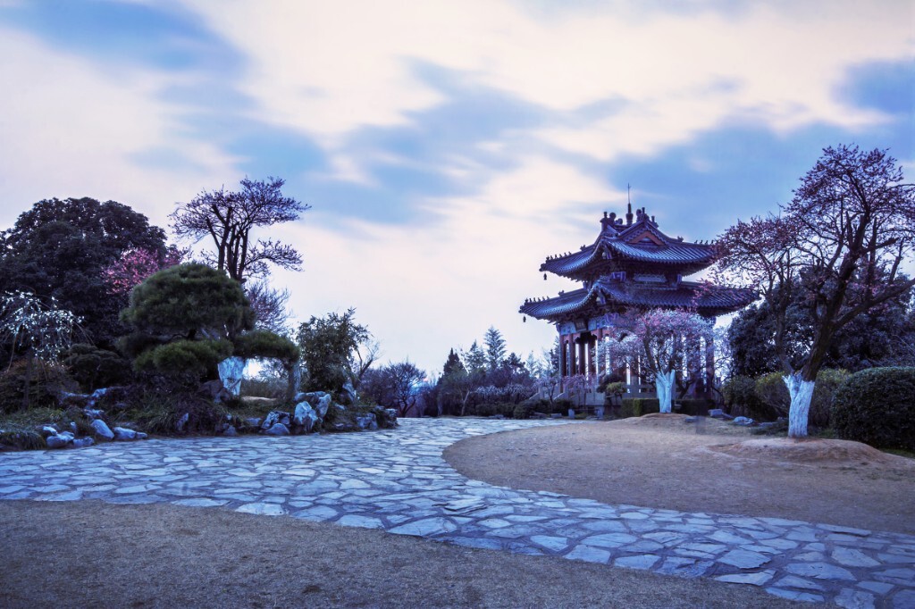 梅花山的黄昏，但因为有雾霾，太阳下去之后天就灰蒙蒙的，没有晚霞红云。