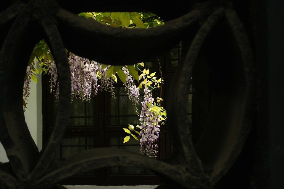 花窗01<br />
