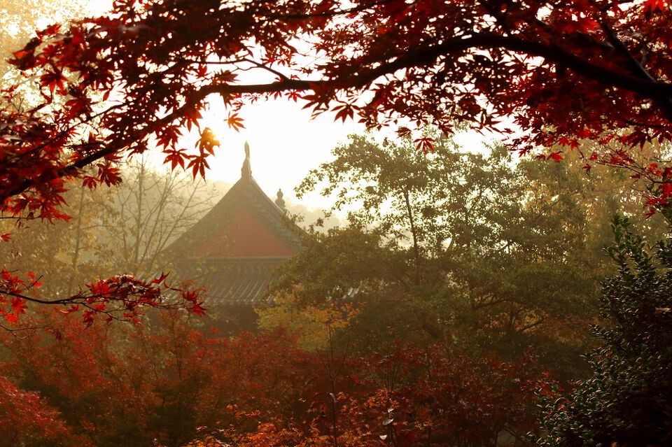 秋山胜景02<br />
