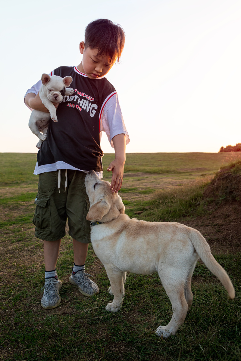 狗狗真的很配合,小男孩也很给力,互动得很好,两只狗都很萌