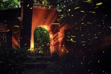 IMG_7650-1