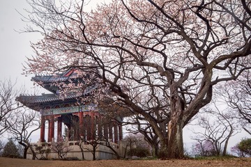 IMG_9889-1