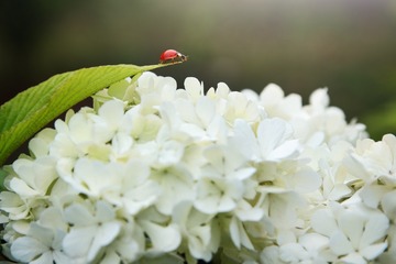 IMG_1759-1