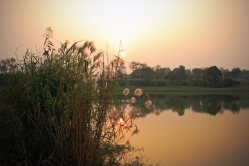 夕阳