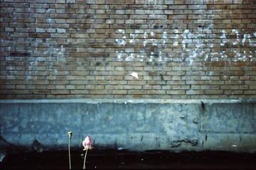 IMG_0045.jpg