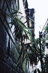 120051
