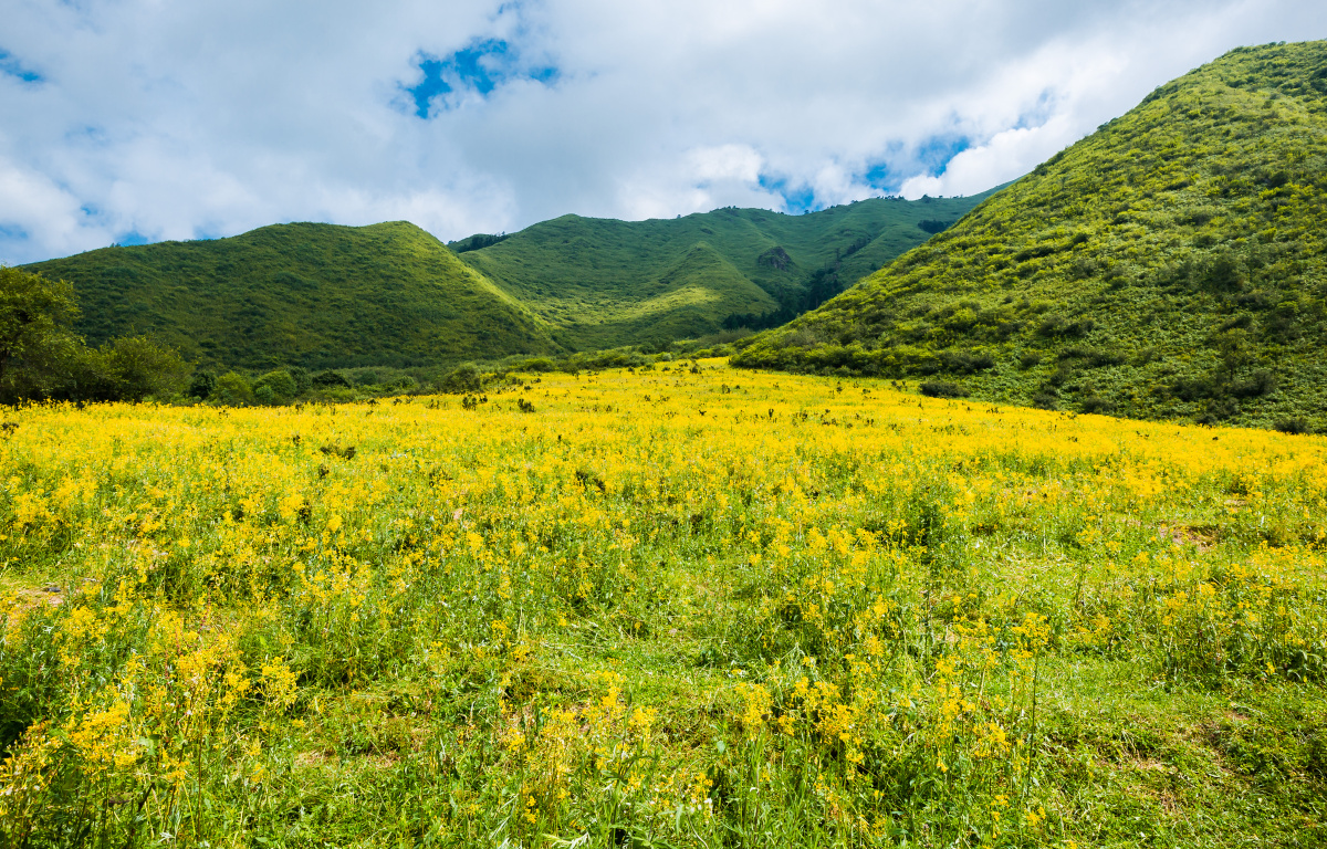 孟获城摄于四川省雅安市石棉县