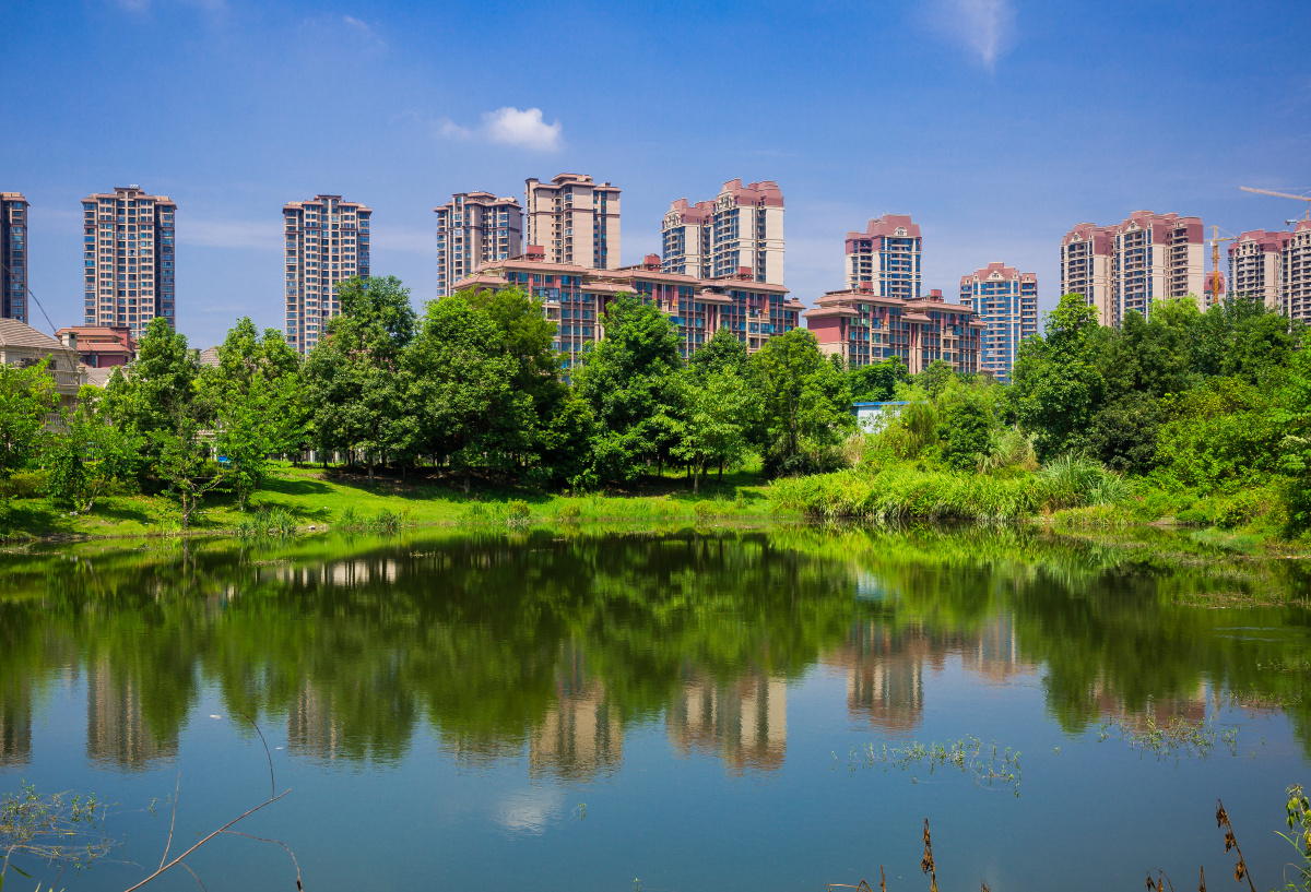 池塘边～～摄于四川省崇州市羊马湿地