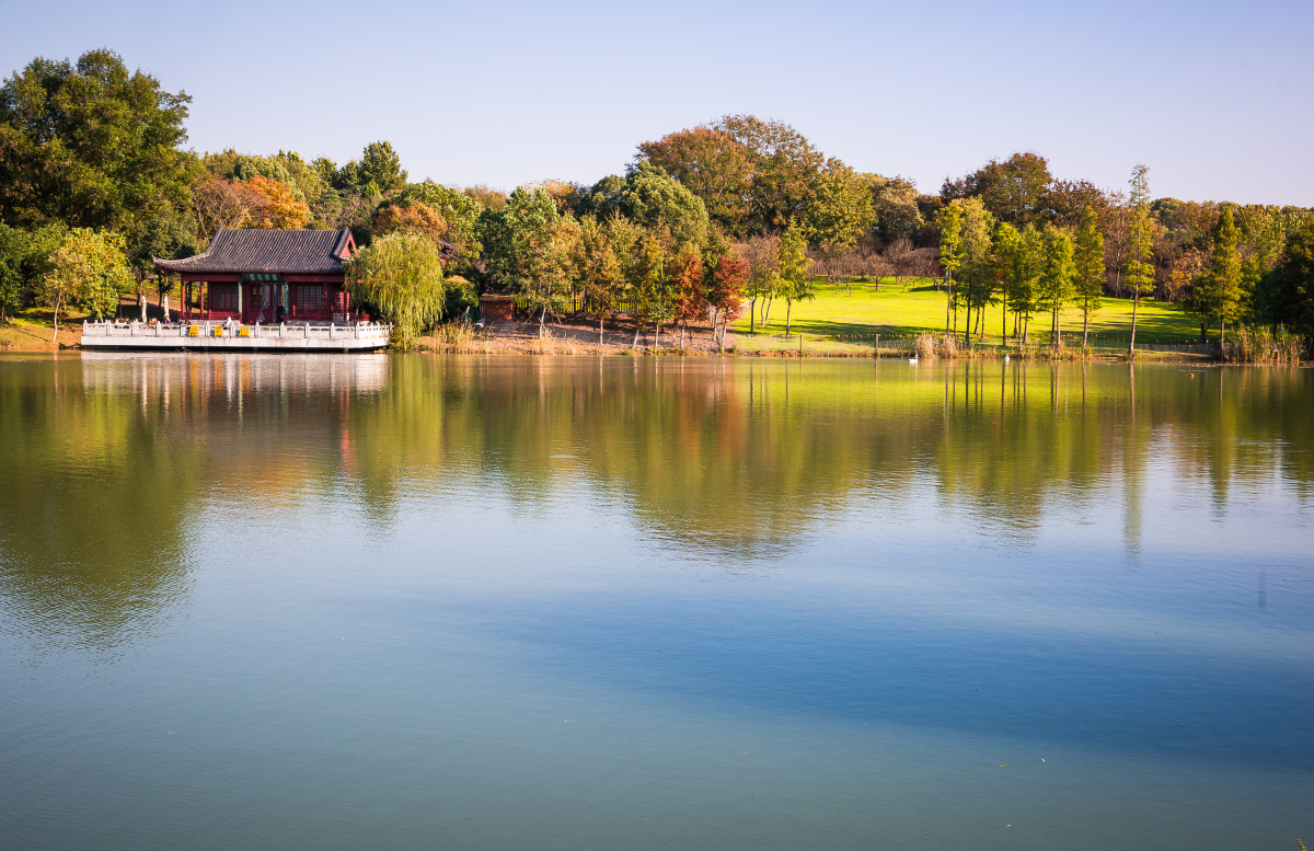 燕雀湖的初冬景致2021年11月10日摄于江苏省南京市