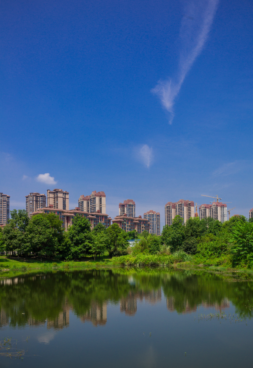 池塘边～～摄于四川省崇州市羊马湿地