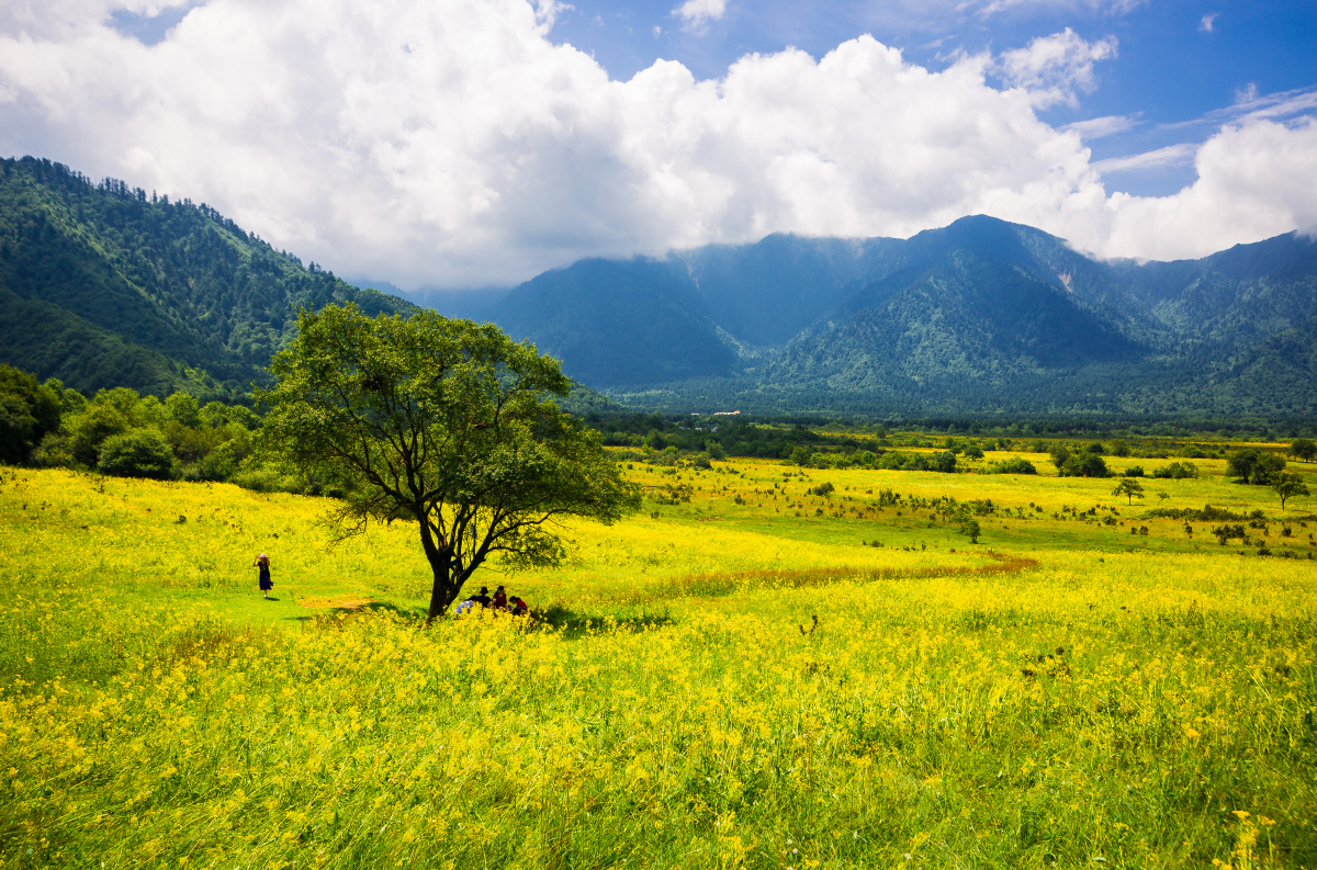 孟获城摄于四川省雅安市石棉县