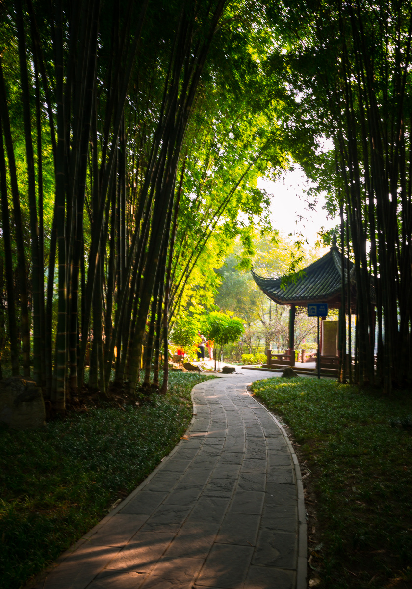 成都望江公园