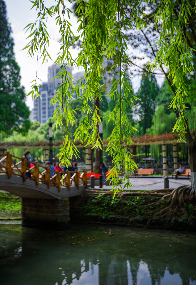 温江公园即景～～温江公园坐落在温江江安河畔,总面积280亩,水陆各半.