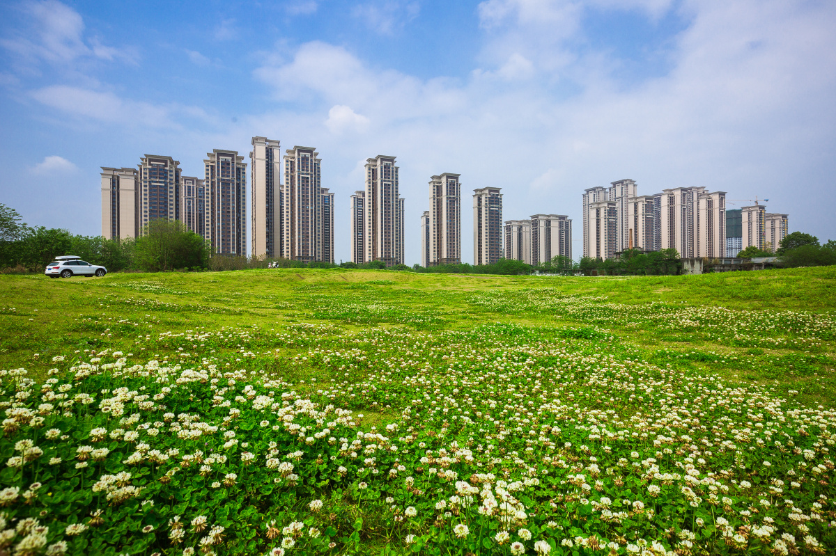 羊马湿地春意浓羊马湿地公园位于成都市光华大道沿线金马河大桥旁占地