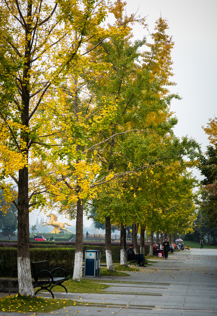 成都温江区金马镇