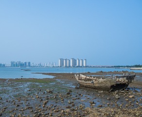 P7290328