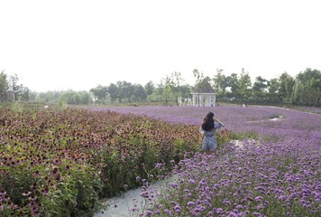 P7290344