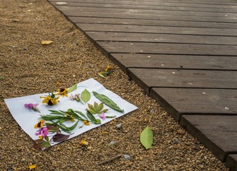 P7290353