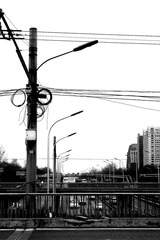 IMG_4918高反差.JPG