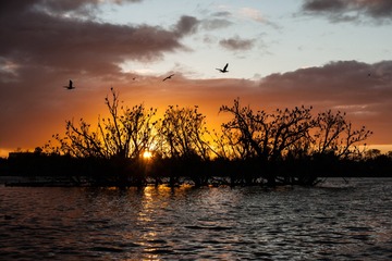 20111020-DSC07361