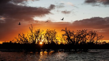 20111020-DSC07361-2_