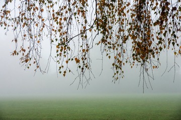 20111027-DSC07805