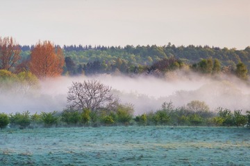 Fog_Morning_Herlev_001_