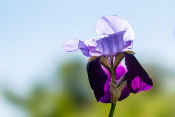 20150524-DSC00706