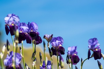 20150524-DSC00728