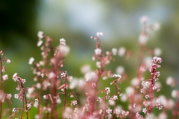 20150524-DSC00736