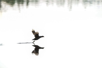 20140518-DSC03400