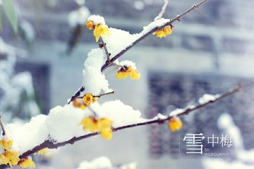 -38c1dd7fac2b3ae6