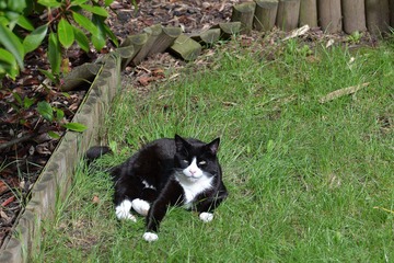 DSC_1143_R.jpg