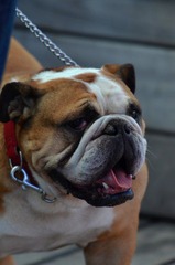 DSC_0257_R.jpg
