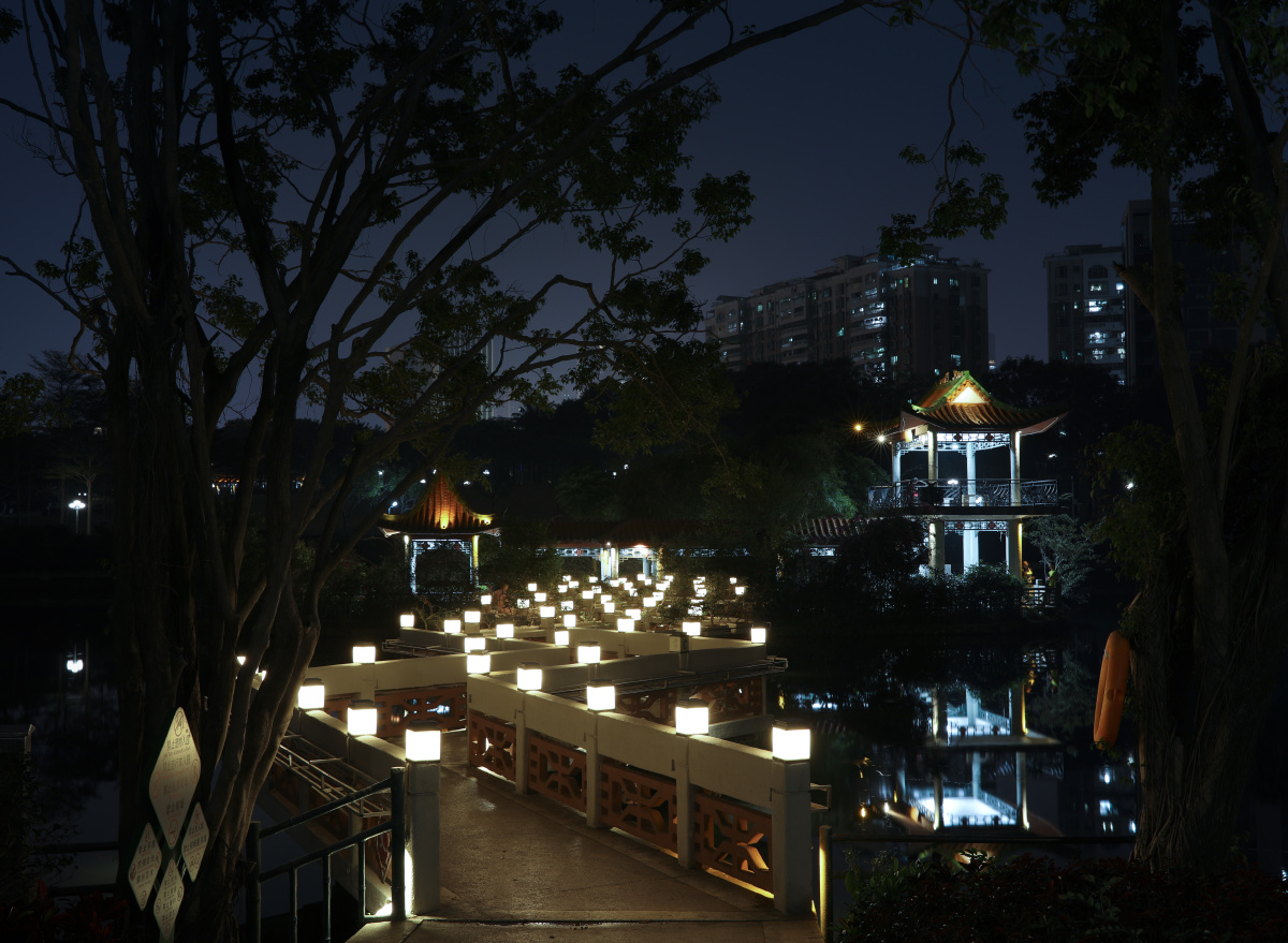 黑夜中最亮的灯请照亮我前行龙潭夜景龙潭公园