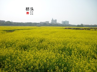 P1070668_