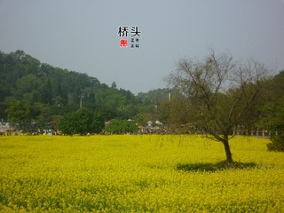P1070680_