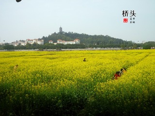 P1070685_