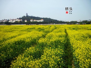 P1070688_