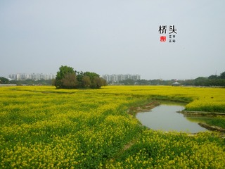 P1070696_