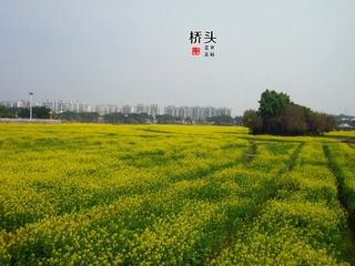 P1070697_
