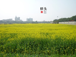 P1070661_