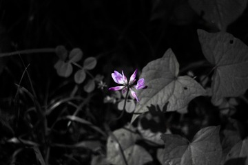 FA25CA42-6691-49B9-B649-6DABC6B3F7D5/L0/001