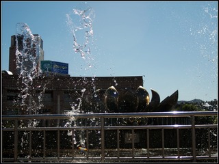 IMGP5759151001110140_