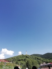 277526