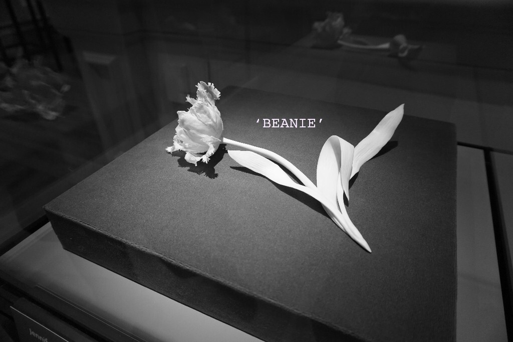 Flowers made of bones