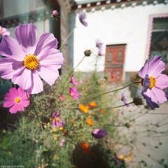 _DSC8777.jpg